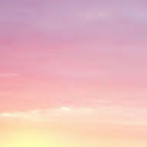 Meet your Posher, Amalia